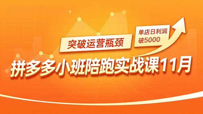 拼多多小班陪跑实战课11月，强付费矩阵、原价活动、暗券引流，突破运营瓶颈，单店日利润破5000-卿云社