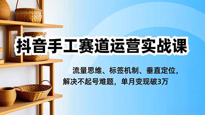 抖音手工赛道运营实战课，流量思维、标签机制、垂直定位，解决不起号难题，单月变现破3万-卿云社