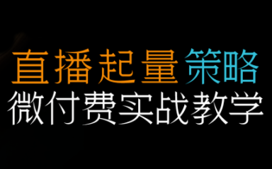 半野老师·直播带货起量与微付费必学课视频号-卿云社