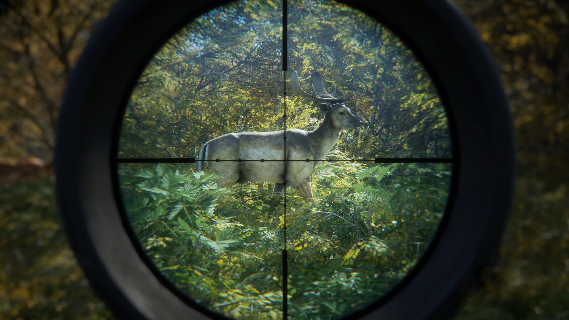《猎人：荒野的召唤/theHunter: Call of the Wild》PC中文版下载-含v3101875-卿云社