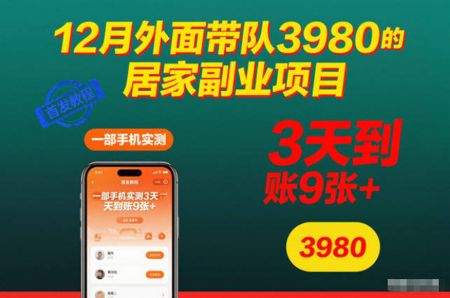 12月外面带队3980的居家副业项目，一部手机实测3天到账9张+，首发教程【揭秘】-卿云社
