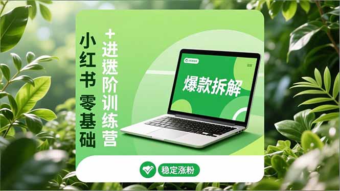 小红书零基础+高阶训练营：安全养号、爆款拆解、长效运营，实现稳定涨粉与变现-卿云社
