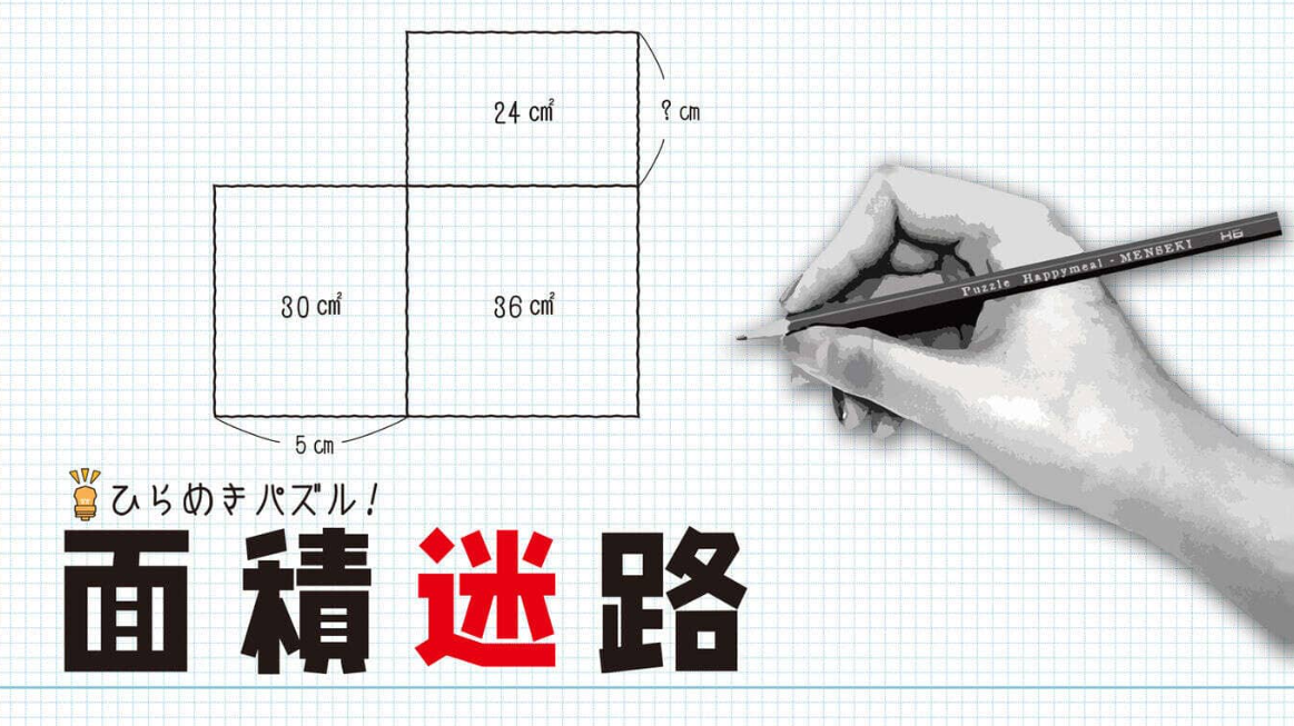《闪烁的拼图 面积迷宫 MENSEKI Area maze puzzles》Switch英日文版NSZ下载-卿云社