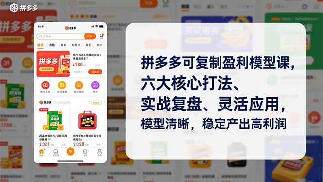 拼多多可复制盈利模型课，六大核心打法、实战复盘、灵活应用，模型清晰，稳定产出高利润-卿云社
