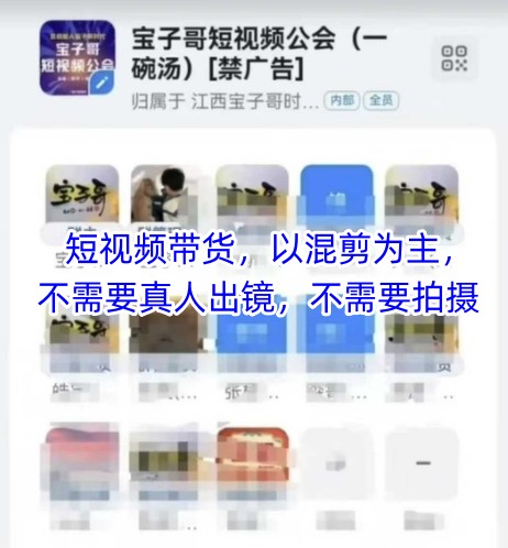 宝子哥头部团队短视频带货，以混剪为主，不需要真人出镜，不需要拍摄【更新12月】-卿云社