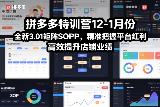 拼多多特训营12-1月份，全新3.01矩阵Sop，精准把握平台红利，高效提升店铺业绩-卿云社