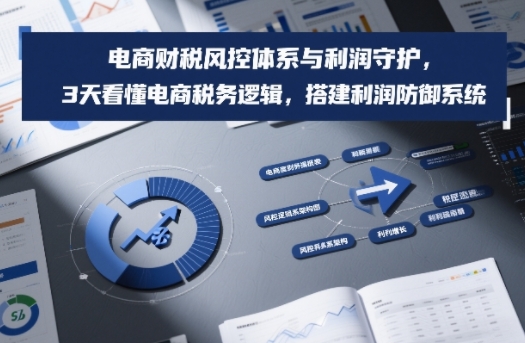 电商财税风控体系与利润守护，3天看懂电商税务逻辑，搭建利润防御系统-卿云社