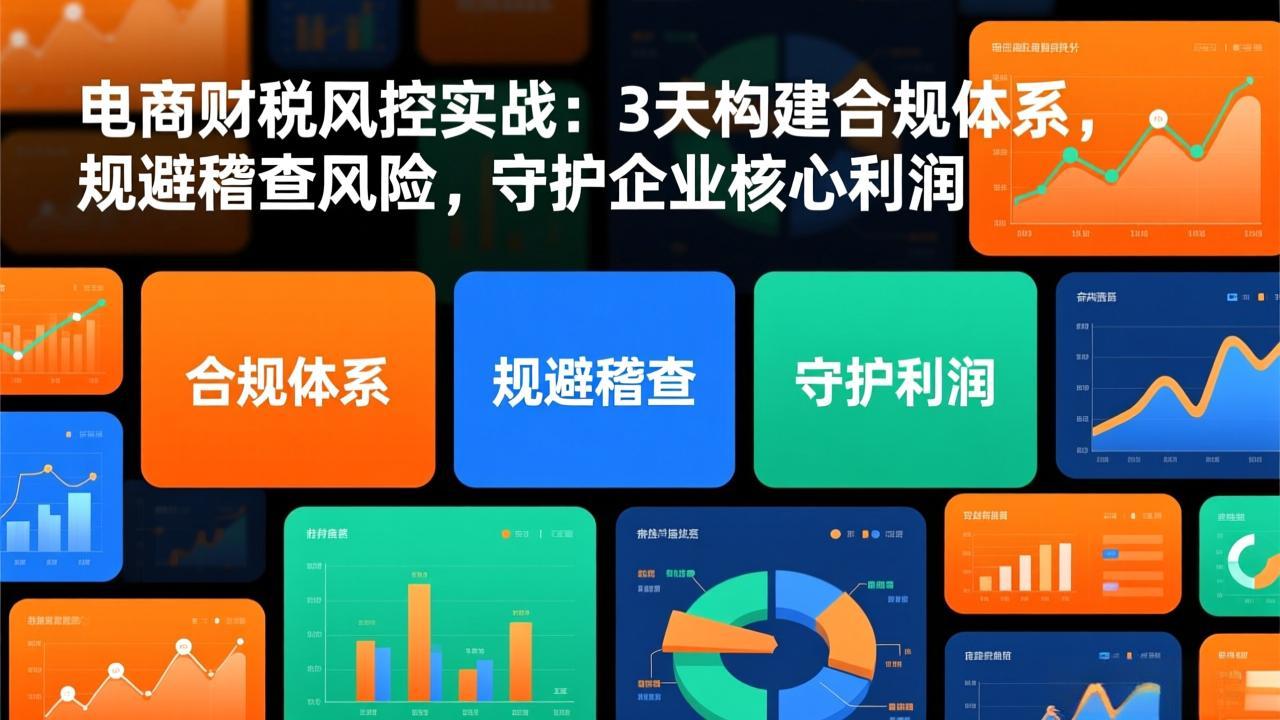 电商财税风控实战：3天构建合规体系，规避稽查风险，守护企业核心利润-卿云社