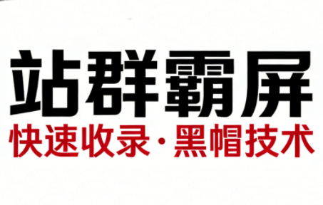 SEO野路子实战全集：快速收录、站群霸屏、黑帽技术(更新)-卿云社