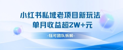 小红书私域项目新玩法，单月变现过W+-卿云社