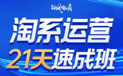 白凤电商·淘系运营21天速成班(更新2月)-卿云社