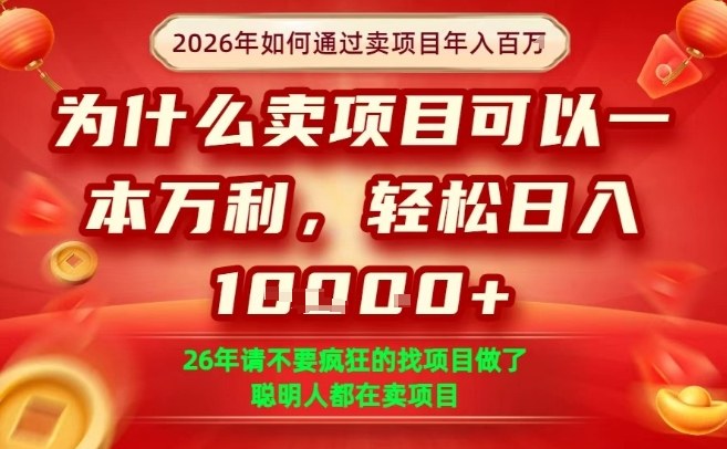 一单净利润1K+，26年想年入100个W，死磕卖项目就够了【揭秘】-卿云社