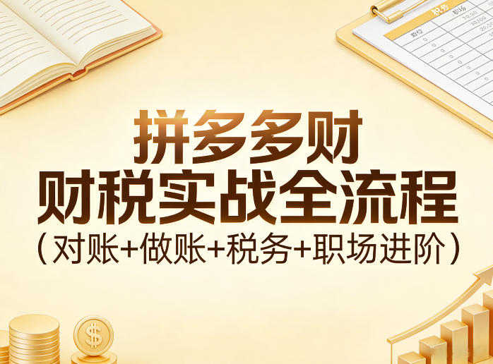拼多多财税实战全流程(对账+做账+税务+职场进阶)-卿云社