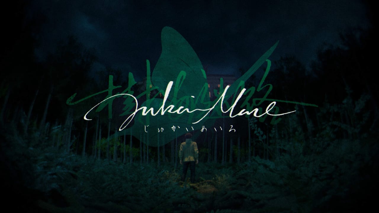 树海迷宫丨Jukai Maze-卿云社