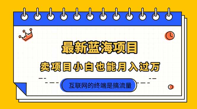 2025年最新蓝海项目，卖项目小白也能月入过万-卿云社