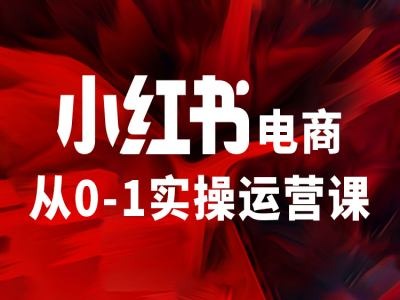 小红书电商从0-1实操运营课，让你从小白到精英-卿云社