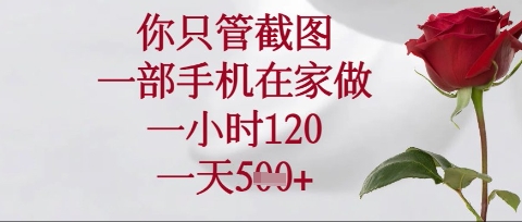 你只管截图，一部手机在家操作，一小时120.一天5张【揭秘】-卿云社