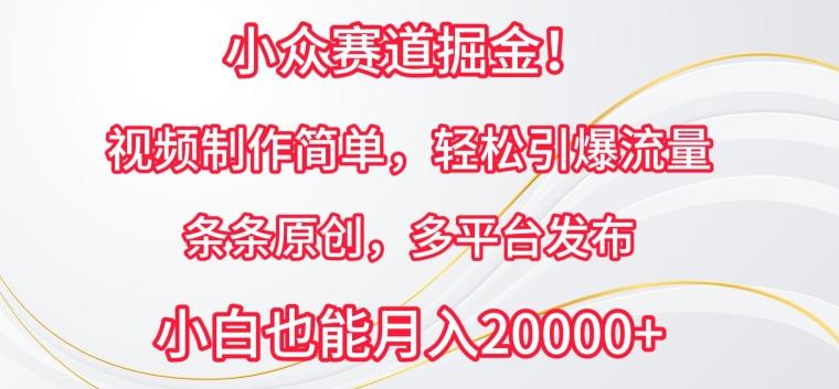 小众赛道掘金，视频制作简单，轻松引爆流量，条条原创，多平台发布【揭秘】-卿云社