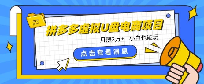拼多多虚拟U盘电商红利项目：月赚2万+，新手小白也能玩-卿云社