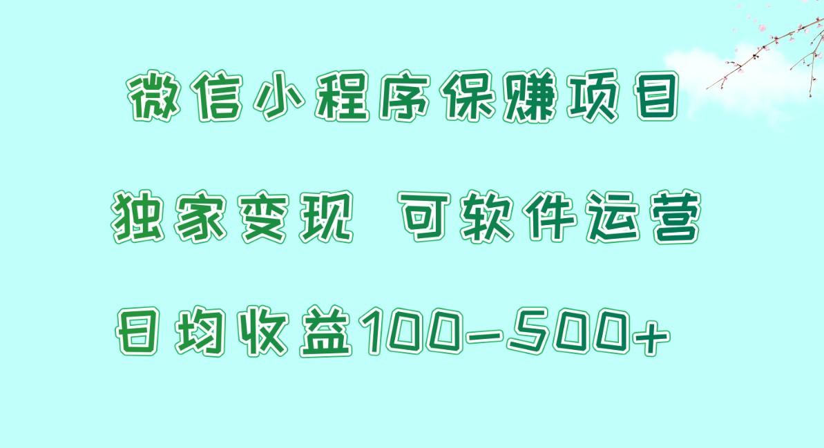 微信小程序保赚项目，日均收益100~500+，独家变现，可软件运营-卿云社