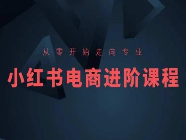 从零开始走向专业，小红书电商进阶课程-卿云社