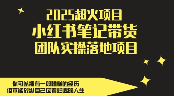 2025超火项目，副业最佳选择，小红书笔记带货团队实操落地项目，，轻松日入5张-卿云社