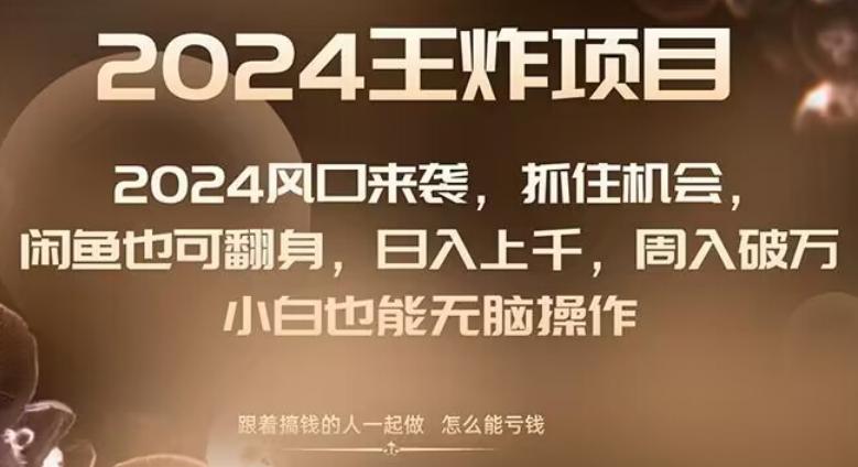 2024风口项目来袭，抓住机会，闲鱼也可翻身，日入上千，周入破万，小白也能无脑操作-卿云社