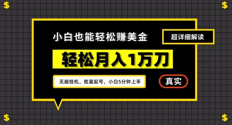 谷歌看广告撸美金2.0，无脑挂机，多号操作，月入1万刀【揭秘】-卿云社