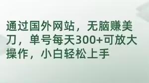 通过国外网站，无脑赚美刀，单号每天300+可放大操作，小白轻松上手【揭秘】-卿云社