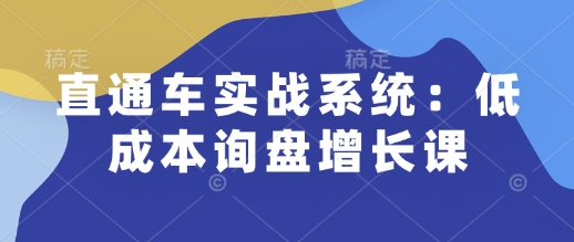 直通车实战系统：低成本询盘增长课，让个人通过技能实现升职加薪，让企业低成本获客，订单源源不断-卿云社