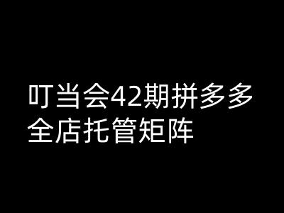 叮当会拼多多打爆班原创高阶技术第42期，拼多多全店托管矩阵-卿云社