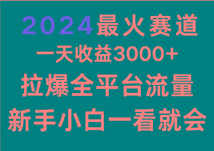 2024最火赛道，一天收一3000+.拉爆全平台流量，新手小白一看就会-卿云社
