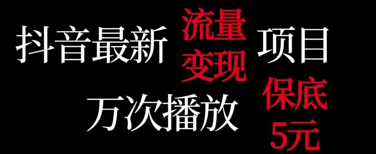 抖音流量变现，万次播放保底5元，额外收入-卿云社