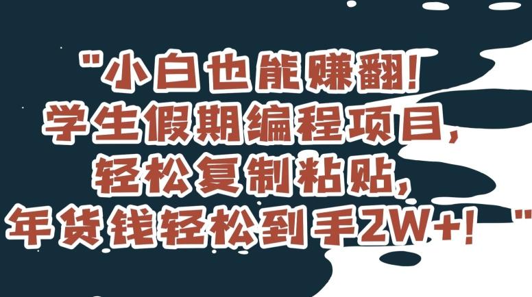 小白也能赚翻！学生假期编程项目，轻松复制粘贴，年货钱轻松到手2W+【揭秘】-卿云社