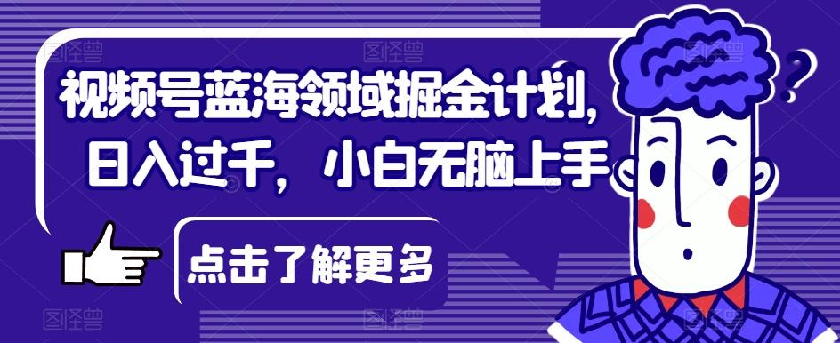 视频号蓝海领域掘金计划，日入过千，小白无脑上手【揭秘】-卿云社