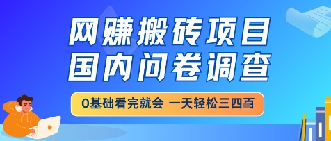 网创搬砖项目，国内问卷调查，小白轻松上手，一天三四张的也不难，干就完了【揭秘】-卿云社
