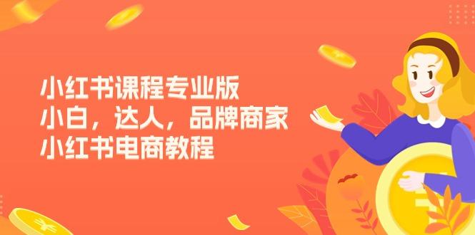 小红书课程专业版，小白，达人，品牌商家，小红书电商教程(15节-卿云社