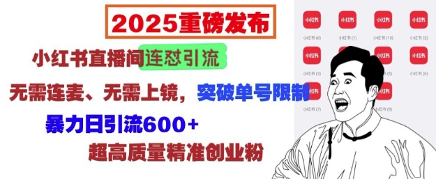 2025重磅发布：小红书直播间连怼引流，无需连麦、无需上镜，突破单号限制，暴力日引流600+-卿云社
