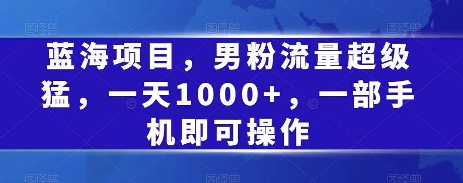 蓝海项目，男粉流量超级猛，一天1000+，一部手机即可操作【揭秘】-卿云社