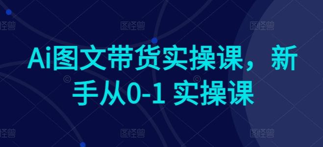 Ai图文带货实操课，新手从0-1 实操课-卿云社