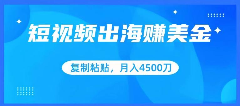 短视频出海赚美金，复制粘贴批量操作，小白轻松掌握，月入4500美刀【揭秘】-卿云社