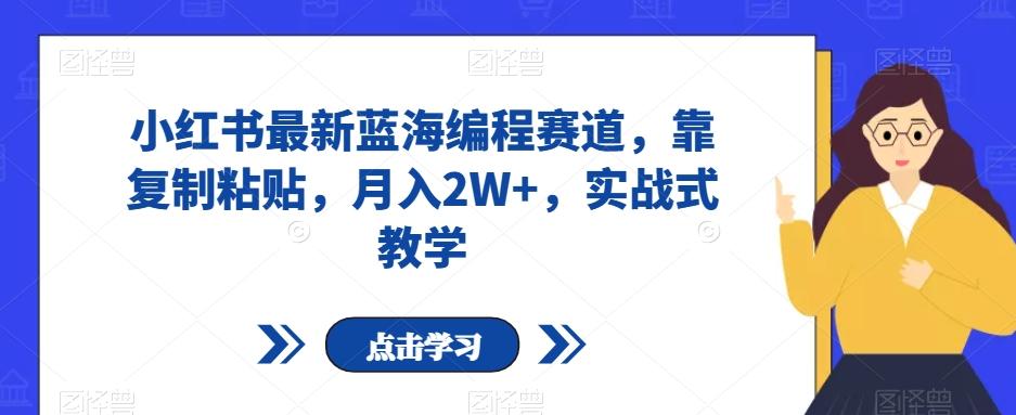 小红书最新蓝海编程赛道，靠复制粘贴，月入2W+，实战式教学【揭秘】-卿云社