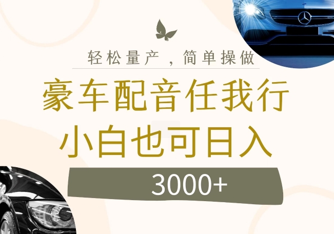 不为人知的暴力小项目，豪车配音，日入几张【揭秘】-卿云社