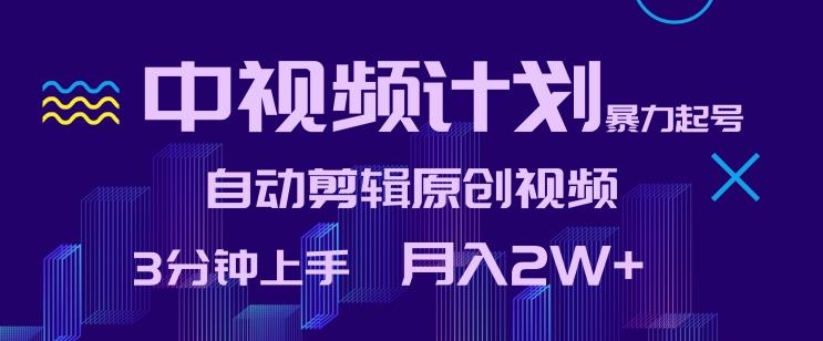中视频计划暴力起号，自动剪辑原创视频，3分钟上手，月入2W+【揭秘】-卿云社