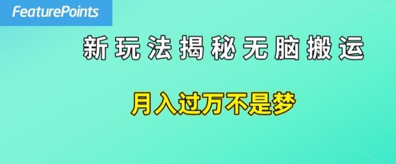 简单操作，每天50美元收入，搬运就是赚钱的秘诀【揭秘】-卿云社