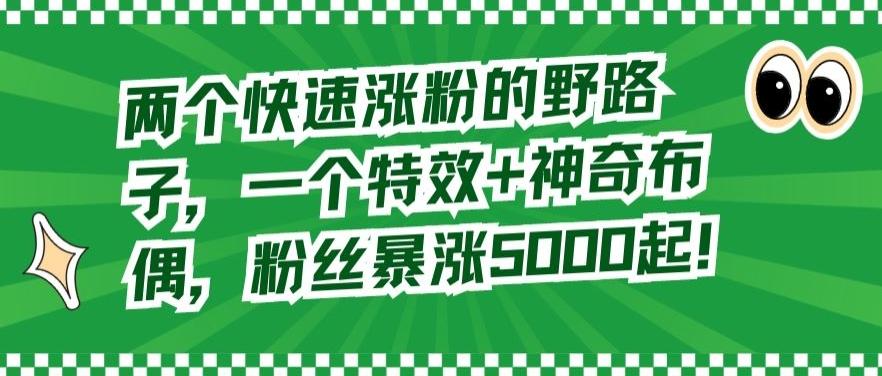 两个快速涨粉的野路子，一个特效+神奇布偶，粉丝暴涨5000起【揭秘】-卿云社