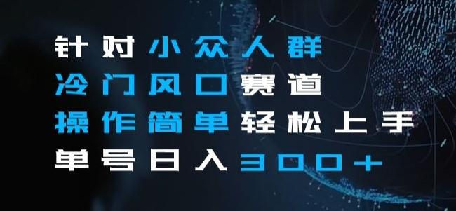 针对小众人群冷门风口赛道，操作简单轻松上手单号日入300+-卿云社