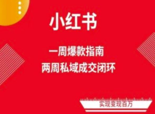 爆款小红书免费流量体系课程(两周变现)，小红书电商教程-卿云社