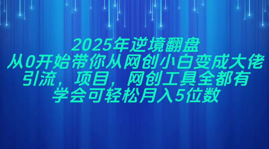 2025年逆境翻盘，从0开始带你从网创小白变成大佬，引流，项目，网创工…-卿云社