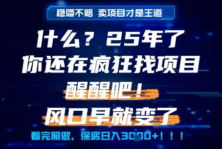 什么？25年你还在疯狂找项目做，醒醒吧，看完这些你全都懂了！【揭秘】-卿云社